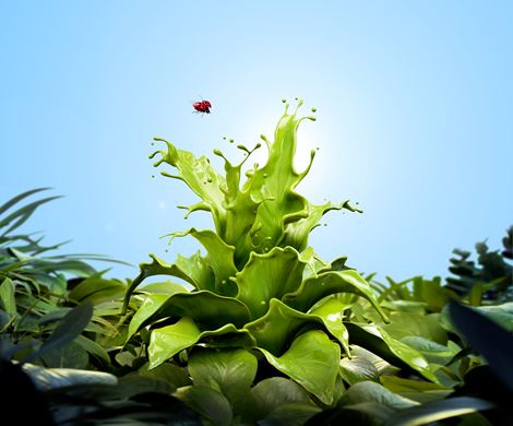 SW Conceptvisual Sustainability 2